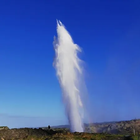 厄尔特克修郊外酒店 酒店